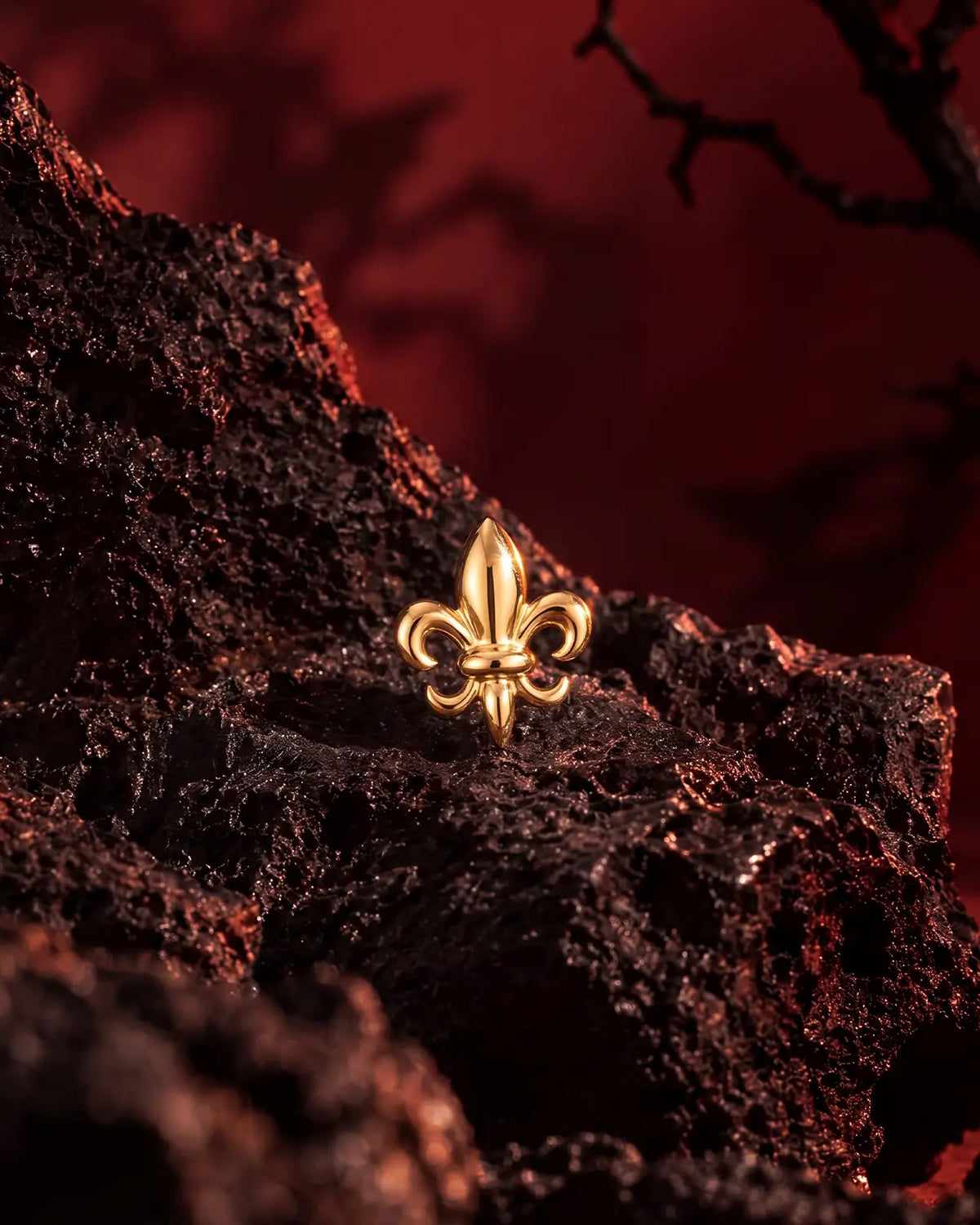 Pendiente plano de flor de lis heráldica