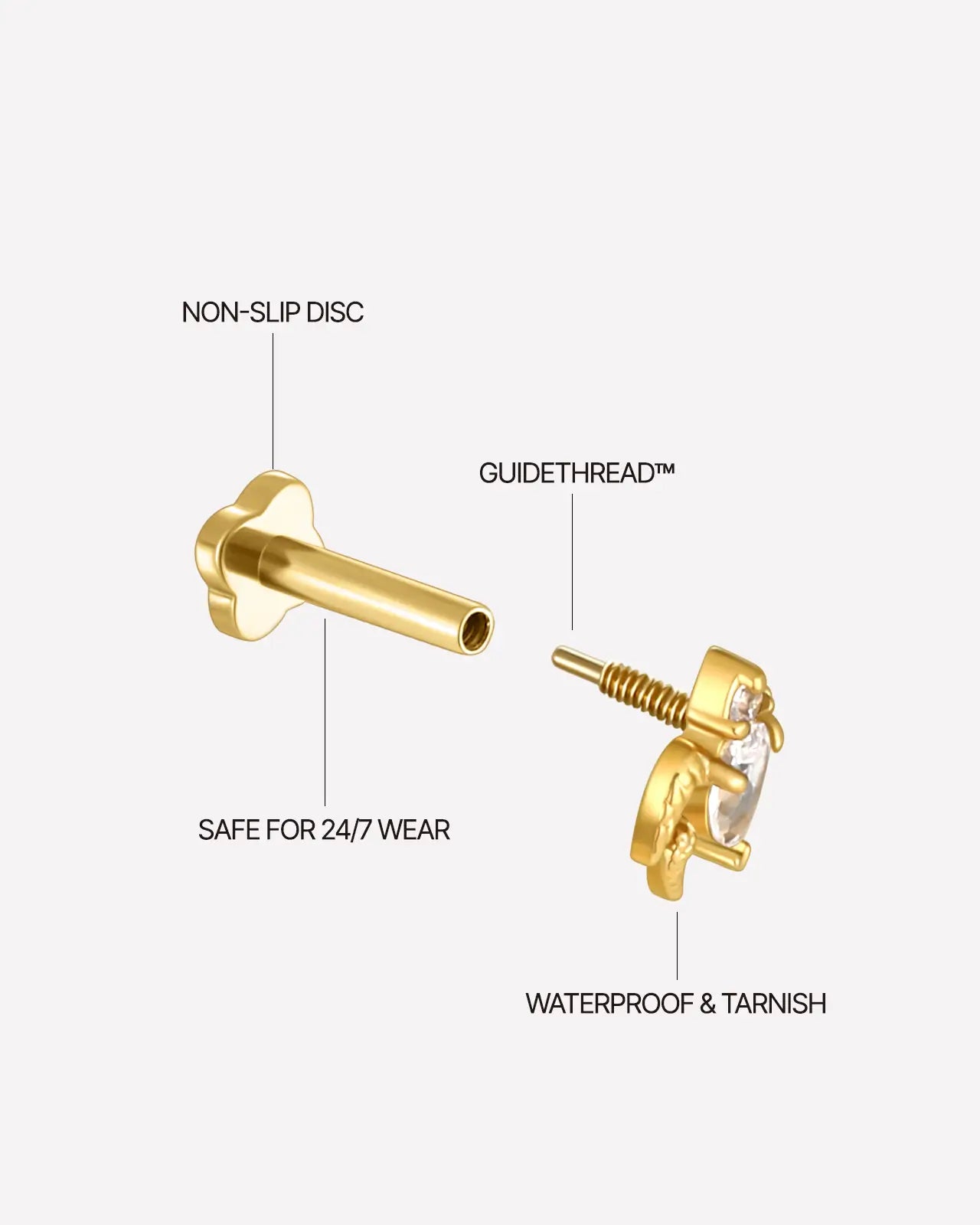 Sea Turtle Zircon End