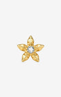 Tidecarved Starfish Flatback Stud
