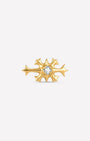 Branch Bloom Flatback Stud
