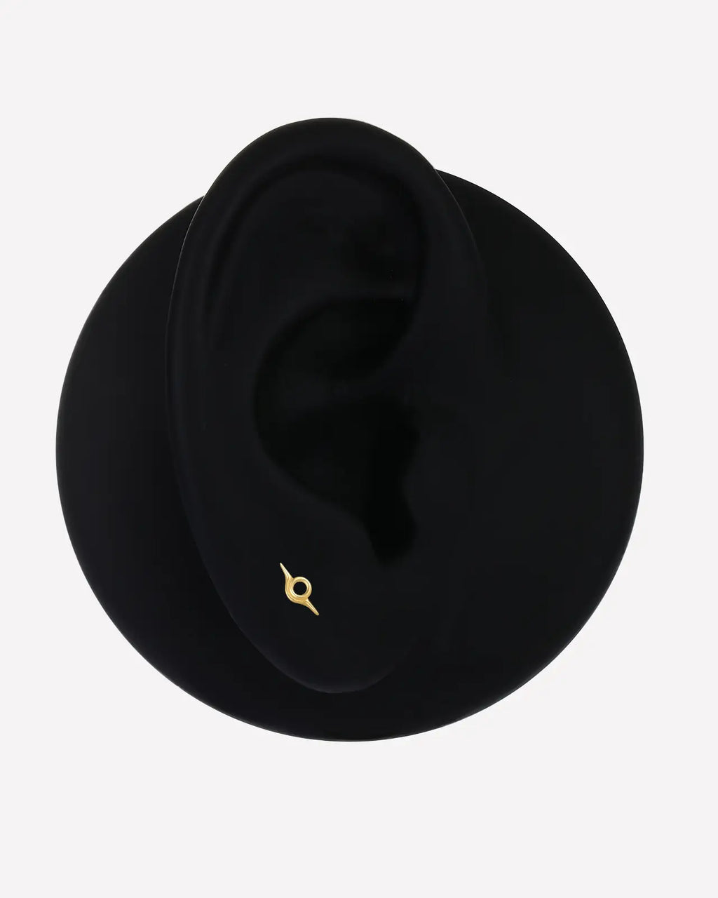 Event Horizon Orbit Flatback Stecker