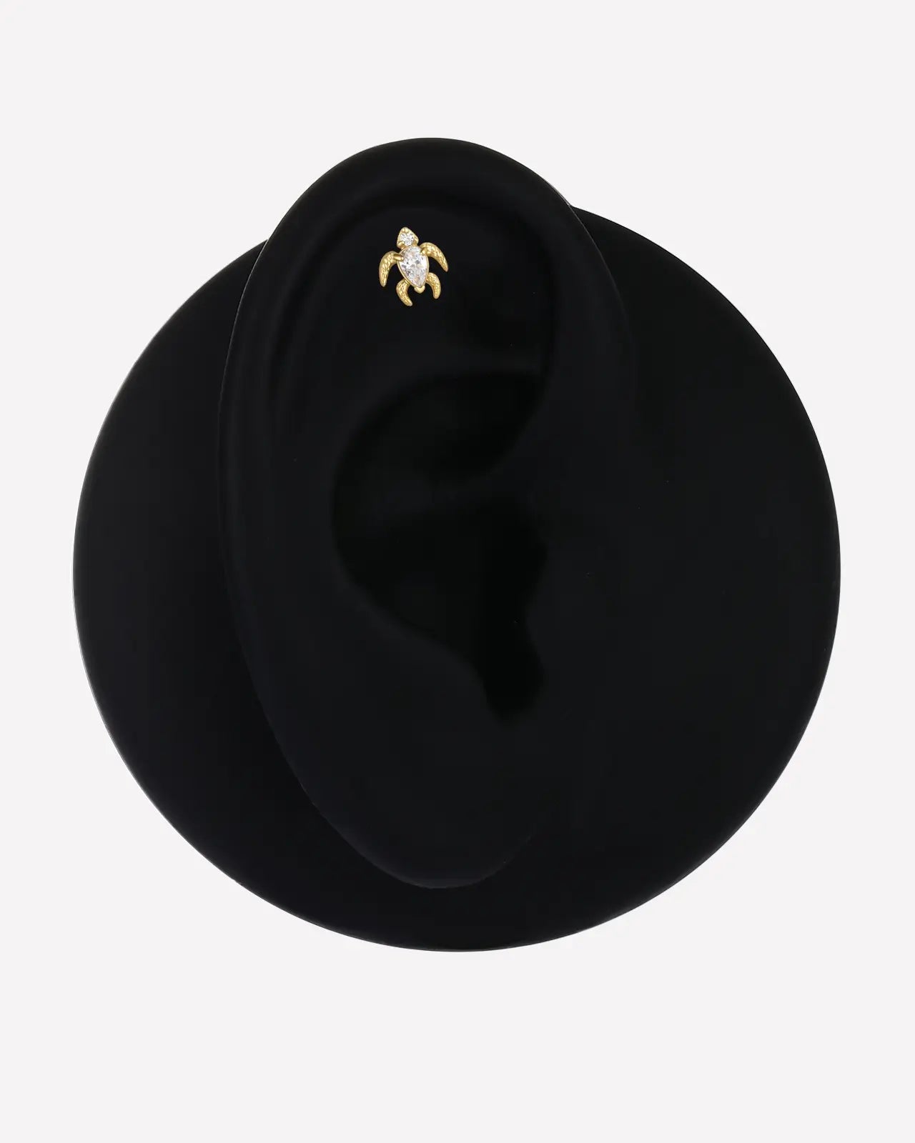 Sea Turtle Zircon End