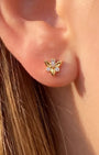 Emerald Fox Flatback Stud