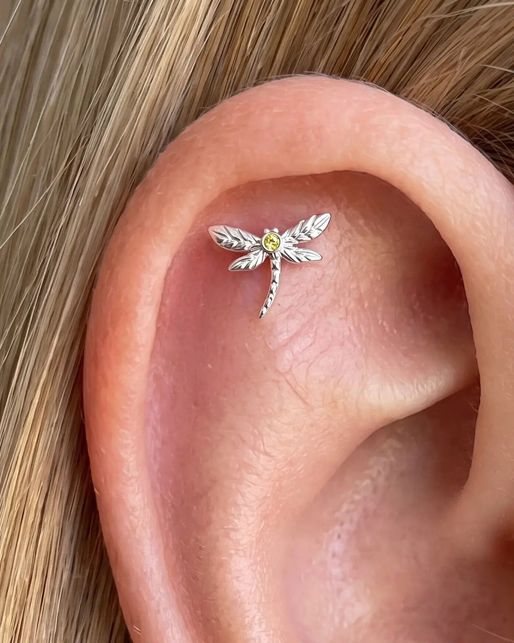 Verzauberter Libellen-Cabochon
