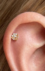 Serenelle Lotus Marquise Flatback Stud
