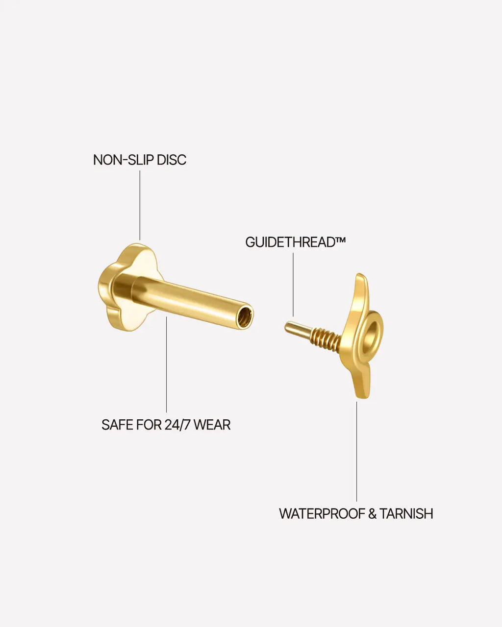 Event Horizon Orbit Flatback Stecker