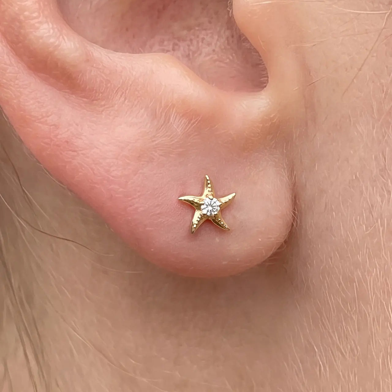 Sea Star Zircon Flatback Stud