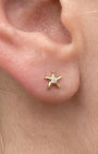 Sea Star Zircon Flatback Stud