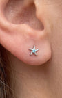 Sea Star Zircon Flatback Stud