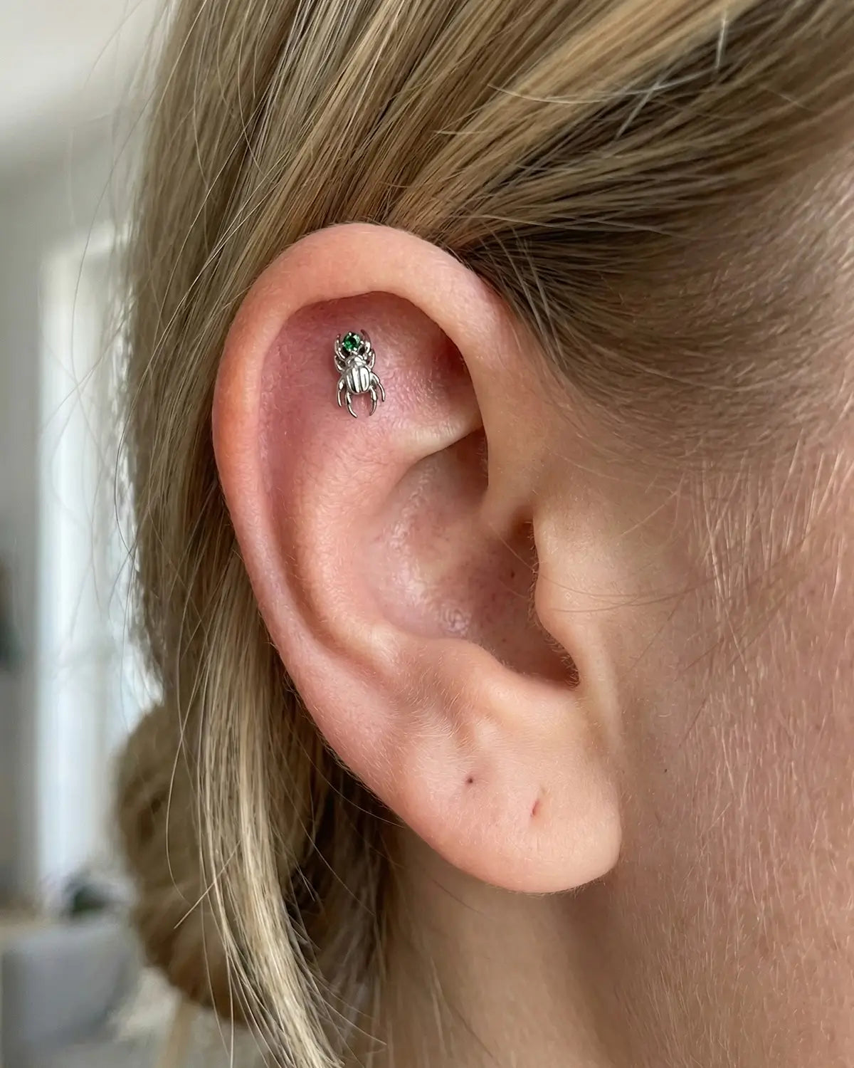 Regal Beetle Flatback Stud