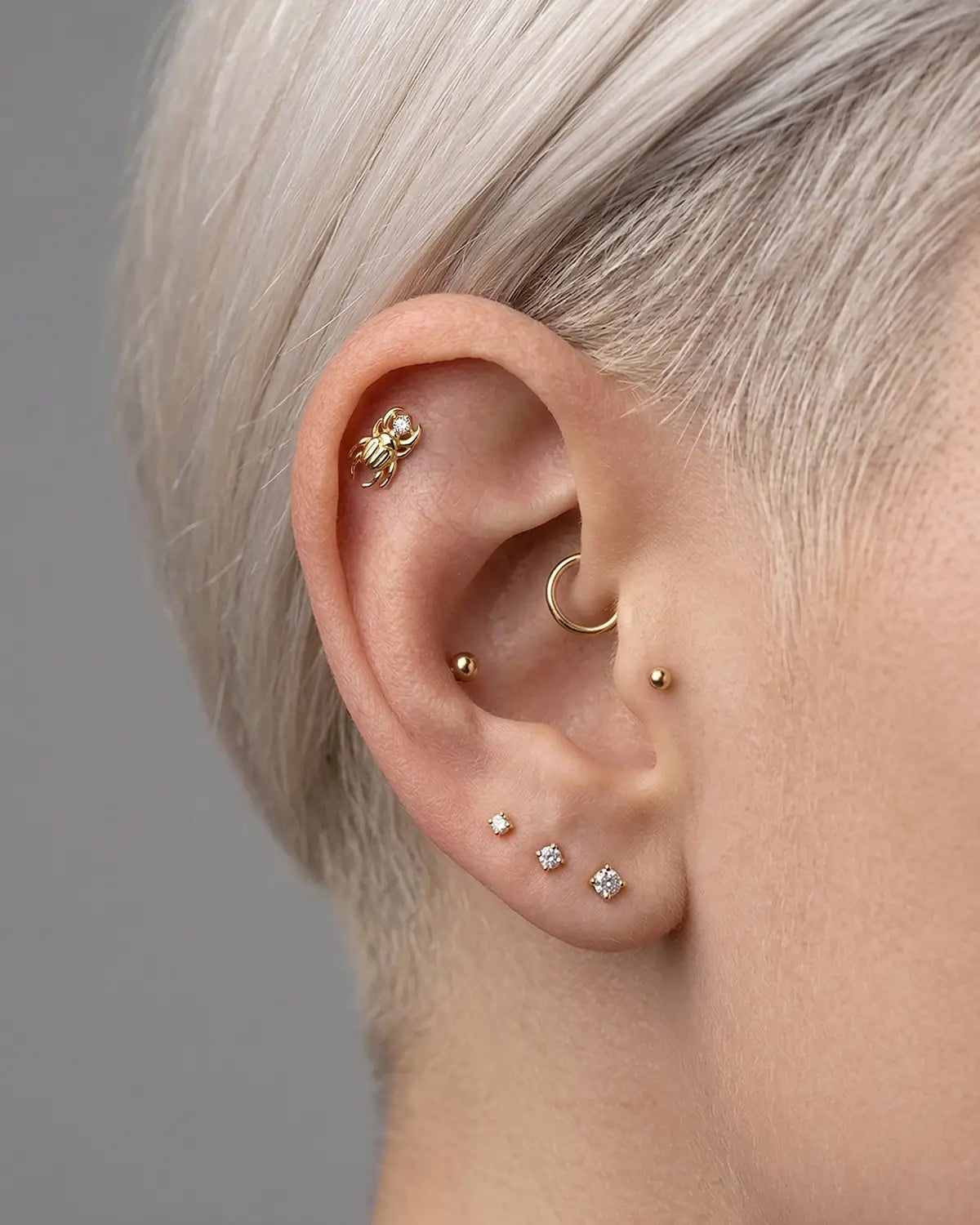 Regal Beetle Flatback Stud