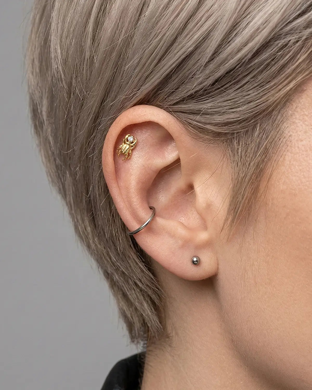 Regal Beetle Flatback Stud