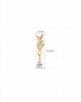 Willow Rain Flatback Stud, gold with clear cubic zirconia, dimensions