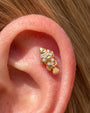 Coral Clownfish Flatback Stud - Gold Crystal Clear - CS-KSD-0279-TI-J-B - 05