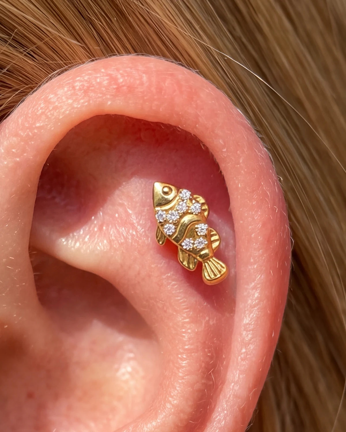 Coral Clownfish Flatback Stud - Gold Crystal Clear - CS-KSD-0279-TI-J-B - 05