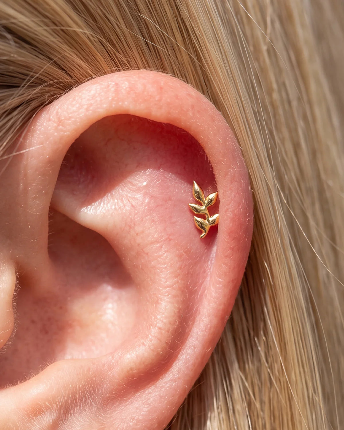 Wild Laurel Flatback Stud gold helix styling